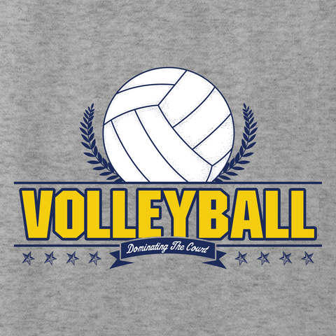 Volleyball 002