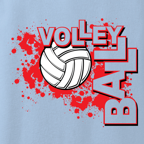 Volleyball 003