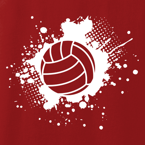 Volleyball 011