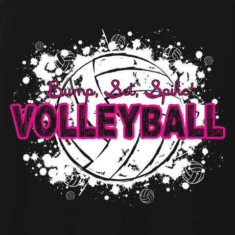 Volleyball 012