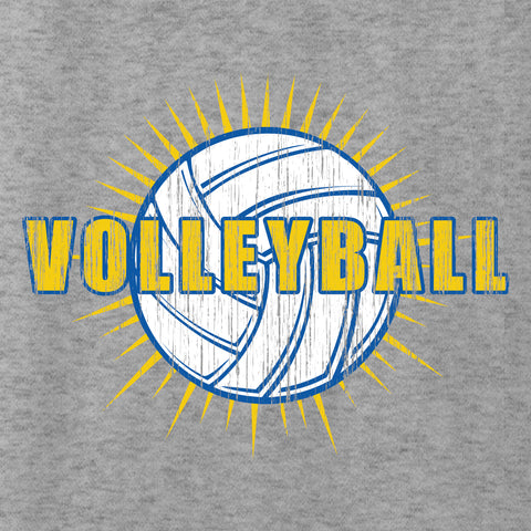 Volleyball 013