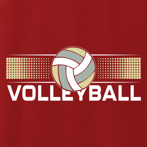 Volleyball 017