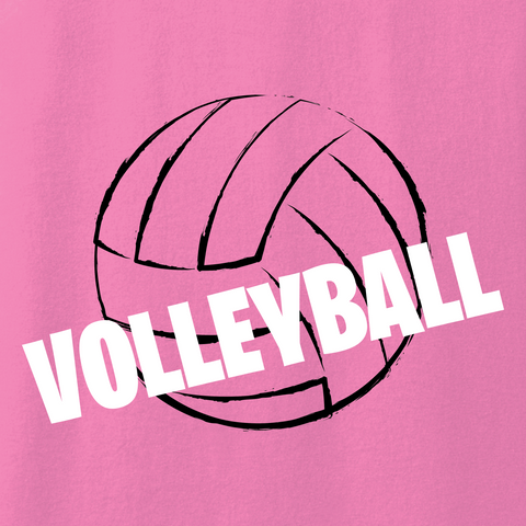 Volleyball 020