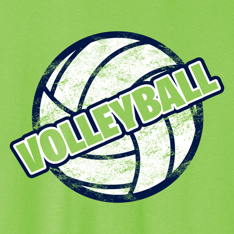 Volleyball 021