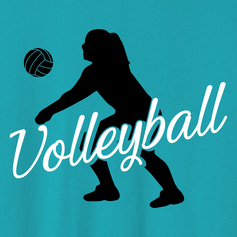 Volleyball 028